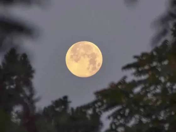 Qué traerá la última Luna llena del año y cómo aprovechar su energía al máximo