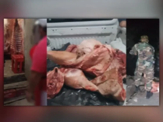 La policía decomisó más de 150 kilos de carne porcina