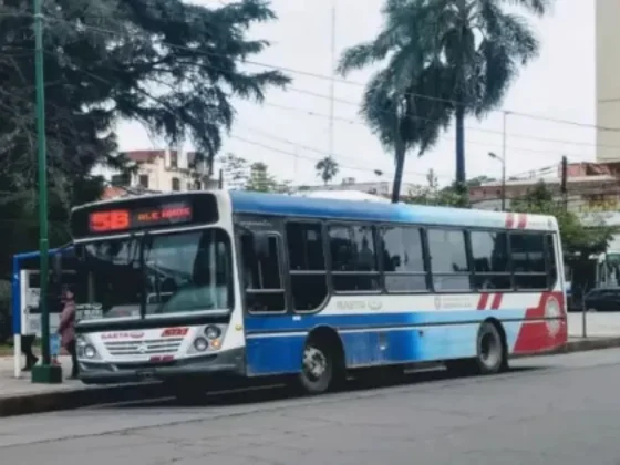 Así será el servicio de colectivos por el feriado nacional de este lunes 18 de noviembre