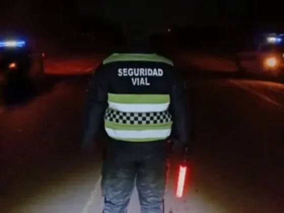 Ruta 34: una trafic de la banda "Coroico" chocó contra un caballo