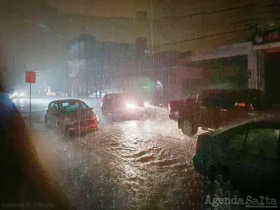Alerta por tormentas para Salta y otras provincias