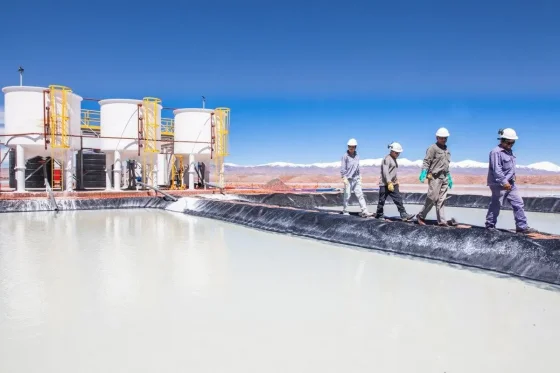 El litio argentino: resiliencia y capacidad de adaptación