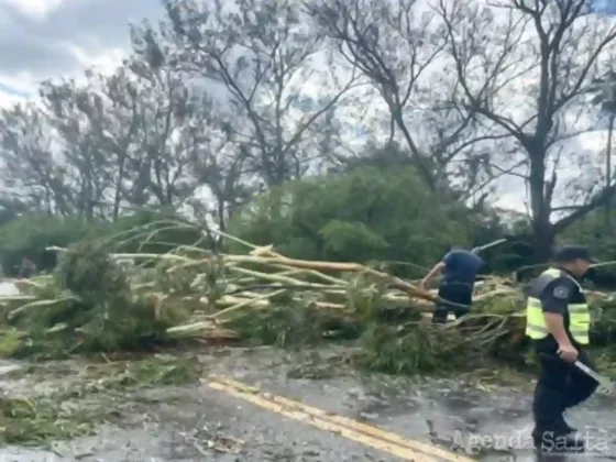 Temporal en Salta: Seguridad brindó asistencia en distintas localidades