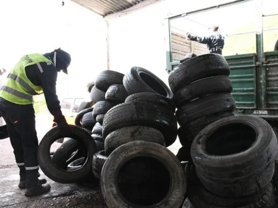 Retiraron 500 neumáticos fuera de uso de una gomería en la Av. Delgadillo