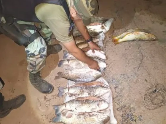 Pesca Ilegal: Infraccionan a dos hombres tras secuestrarle 16 pescados
