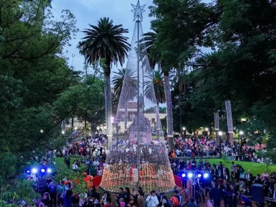 Se encendió el árbol navideño de plaza 9 de Julio