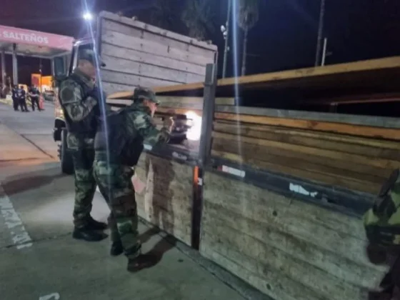 Infraccionaron a camionero que transportaba madera de manera irregular