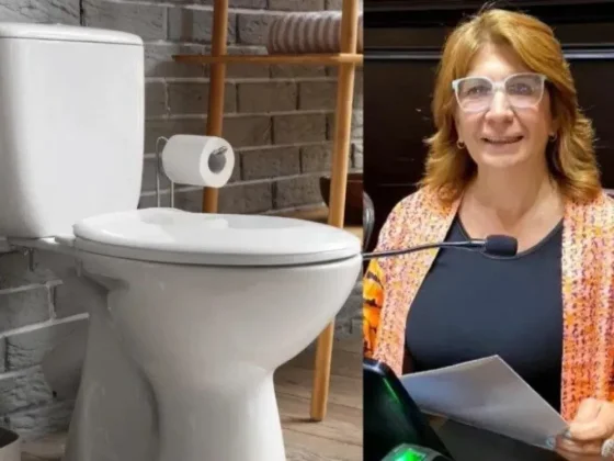 Una diputada bonaerense presentó un proyecto para declarar el inodoro como “un lugar para la paz”