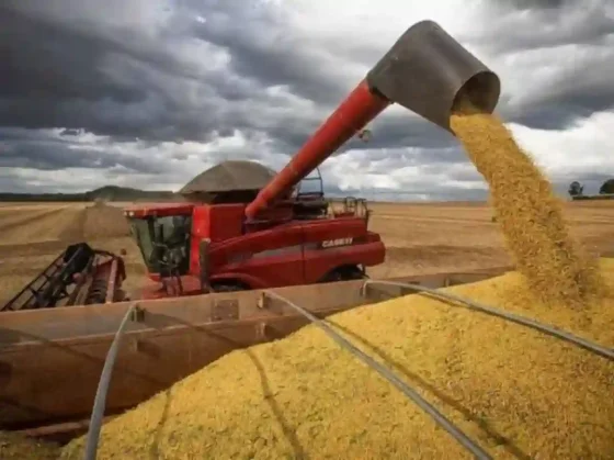 Las divisas por derechos de exportación del complejo agropecuario crecieron casi 40%