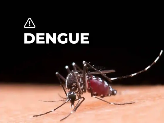 Dengue en Salta: detectan casos en capital con huevos infectados de la temporada pasada
