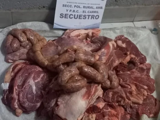 Incautan carnes no aptas para consumo humano y rollos de madera ilegal