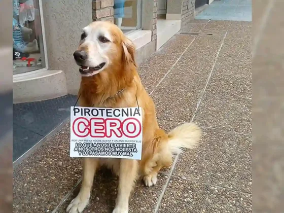 “Pirotecnia Cero”: Salta lanza su campaña para unas fiestas más inclusivas y seguras