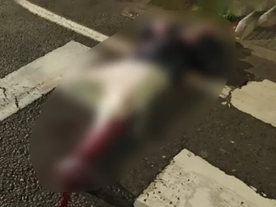 Salteño lucha por su vida tras ser apuñalado en una pelea