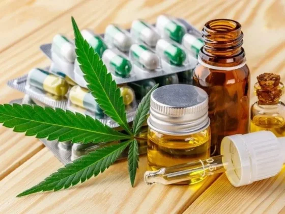 Salta contará con un registro de Cannabis Medicinal