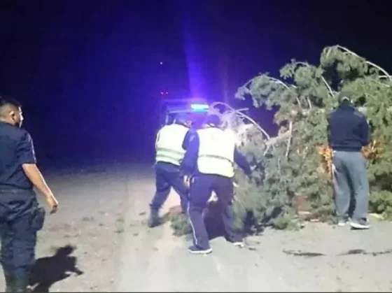 La Policía brindó asistencia a damnificados por el temporal en distintas localidades