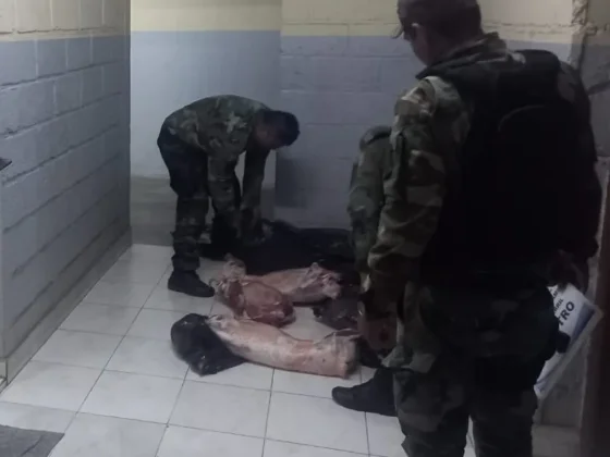 Secuestraron alrededor de 2 mil kilos de carne no apta para consumo humano