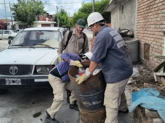 Se recolectaron más de 230 toneladas de cacharro durante el último semestre