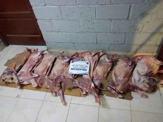 Se secuestró alrededor de 2 mil kilos de carne no apta para consumo humano