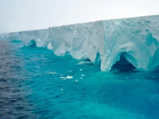 El iceberg más grande del mundo no se fragmentó y avanzó 117 kilómetros