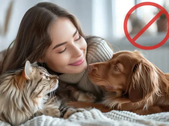 Qué significa preferir no tener mascotas, según la psicología