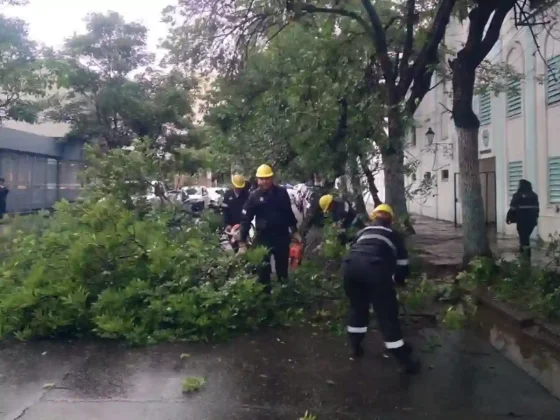 El sistema de Emergencias 105 registró seis incidentes durante la tormenta