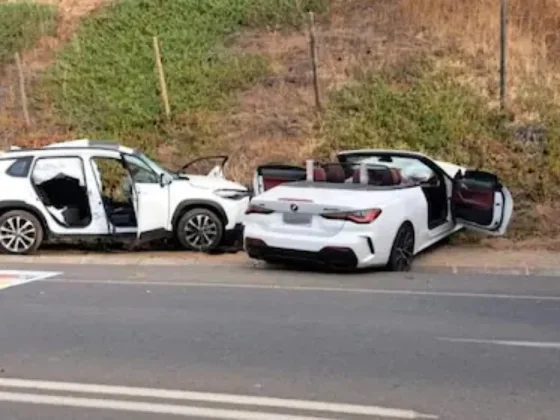 Un empresario y exintegrante de Los Pumas murió en un accidente de tránsito en Chile