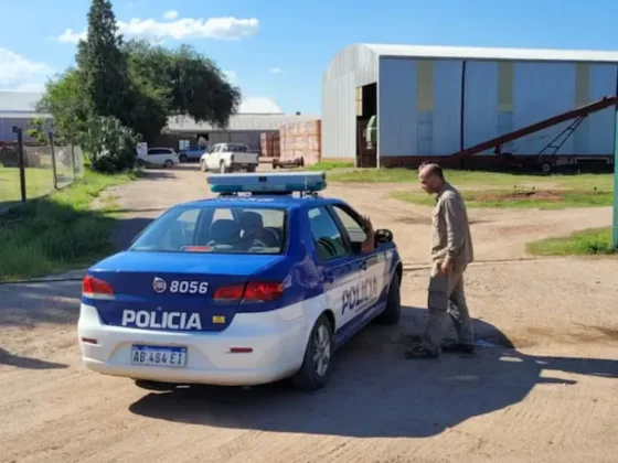 CONMOCIÓN: un hombre instalaba paneles solares en un tinglado, cayó desde casi 15 metros y murió