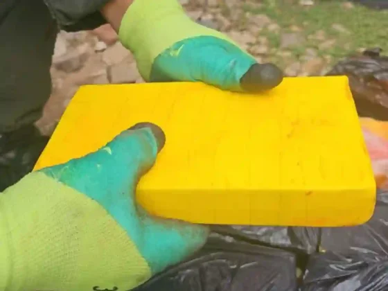 Remisero imputado por el transporte de 30 kg. de cocaína
