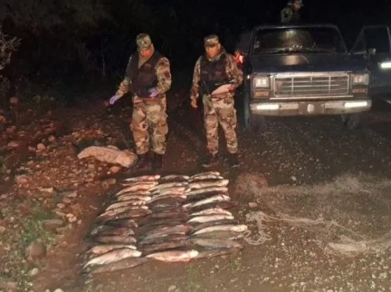 La Policía Rural infraccionó a una persona e incautó piezas ictícolas