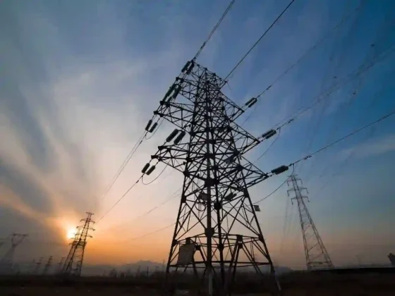 Por la ola de calor, advierten sobre posible récord de demanda eléctrica