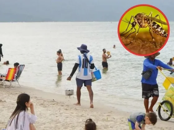 Crecen los casos de dengue en Brasil