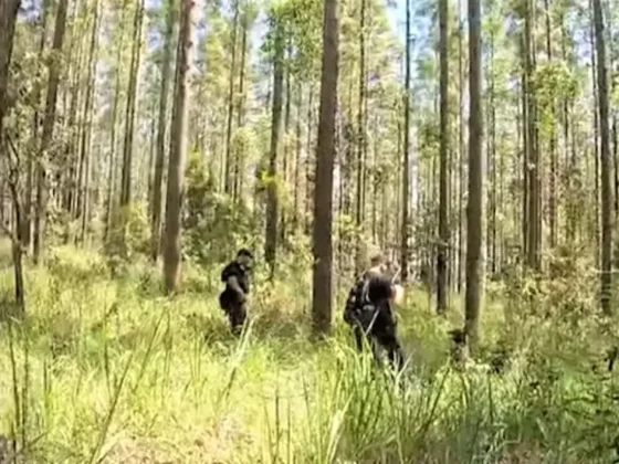 Drama: encontraron muerta en un bosque a una joven que había sido secuestrada hace tres meses