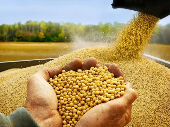 El sector agroindustrial exportó US$ 9.637 millones en 2024