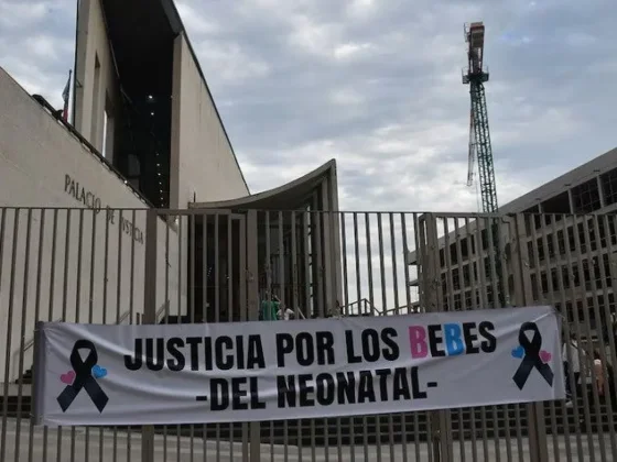 Declaró el ingeniero que destapó las muertes de bebés en Córdoba