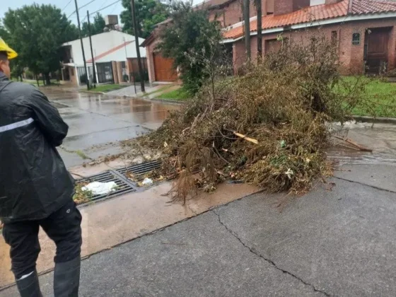 Los canales pluviales funcionaron de forma óptima durante la lluvia
