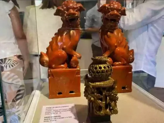 Miles de salteños celebraron con arte y tradición el Año Nuevo Chino