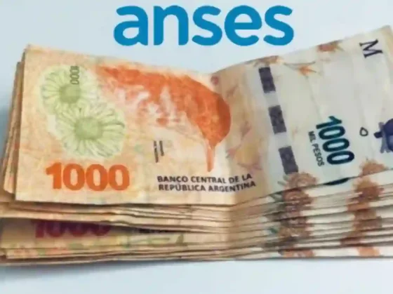 ANSES: quiénes cobran este miércoles 29 de enero