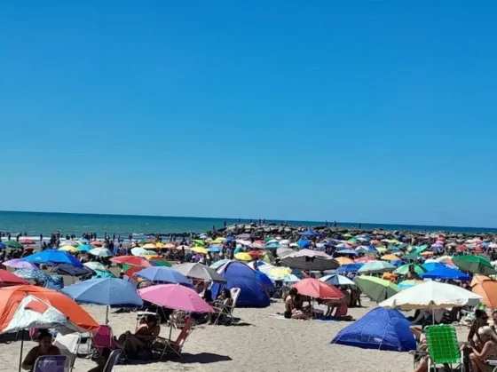 Un tiburón apareció entre la gente en Mar del Plata y generó revuelo