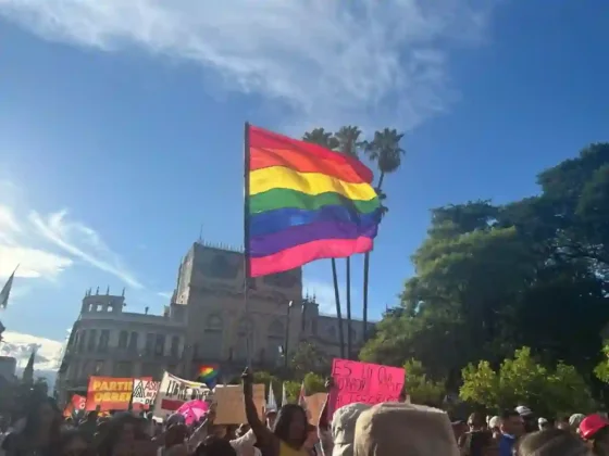 Milei afirmó que la comunidad LGBTQI+ fue “usada” y defendió su discurso en Davos