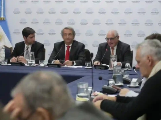 Reviven Ficha Limpia: el Gobierno busca un nuevo dictamen