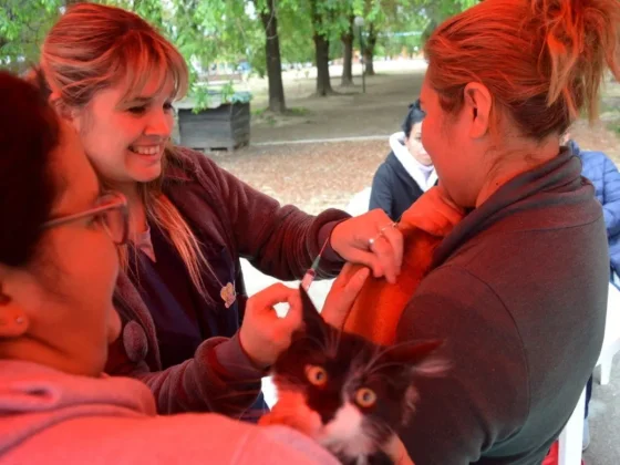 Se realizará un operativo integral de Bienestar Animal en el Relleno Sanitario San Javier