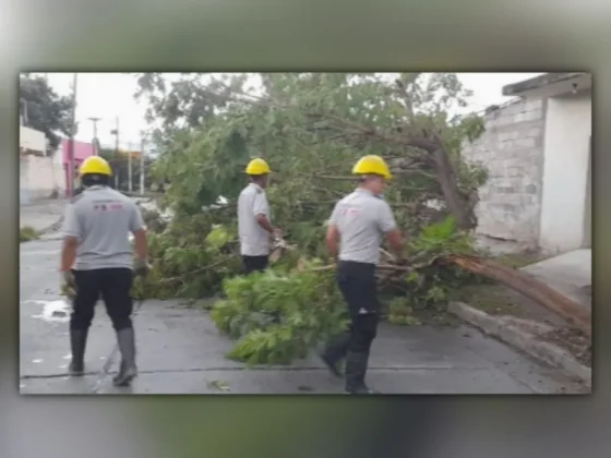 El Sistema de Emergencias Municipal 105 recibió 46 llamados tras la tormenta