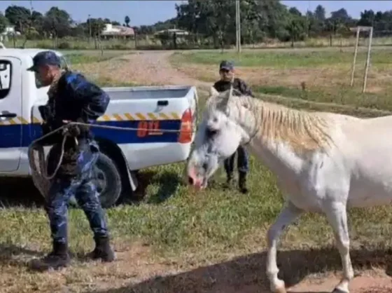 Seguridad fortalece la prevención en rutas del sur provincial