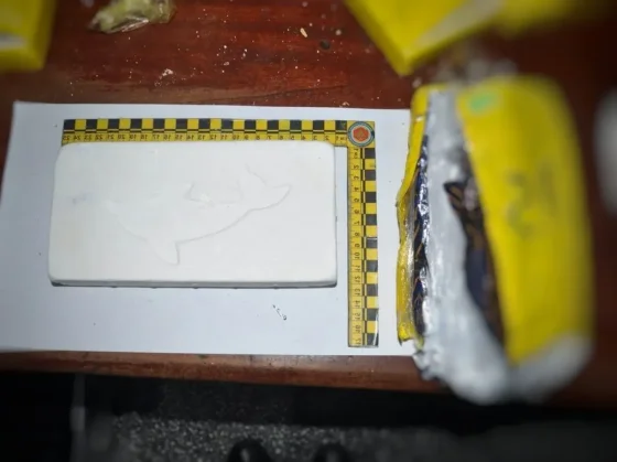 Gendarmería secuestró más de 15 paquetes de cocaína y 264 kilogramos de hojas de coca