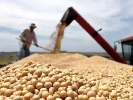 Mientras "asimilan" la baja de retenciones, los agroexportadores aceleran sus ventas