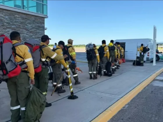 El gobierno provincial envió refuerzos para combatir los incendios forestales del sur argentino