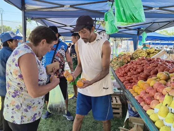 “El mercado en tu barrio” estará en la zona norte de la ciudad