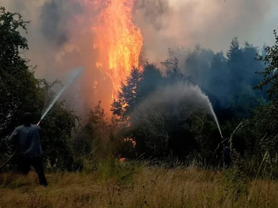 Ante los incendios en el Sur, el Gobierno establece la Agencia Federal de Emergencias