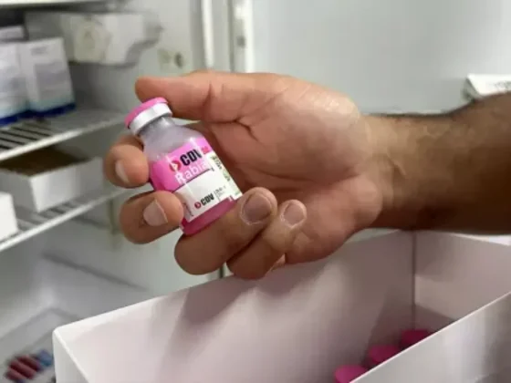 Ya están disponibles las vacunas gratuitas para la campaña antirrábica