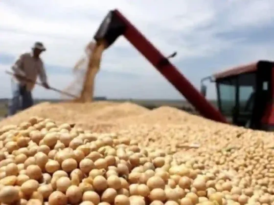 Mientras "asimilan" la baja de retenciones, los agroexportadores aceleran sus ventas